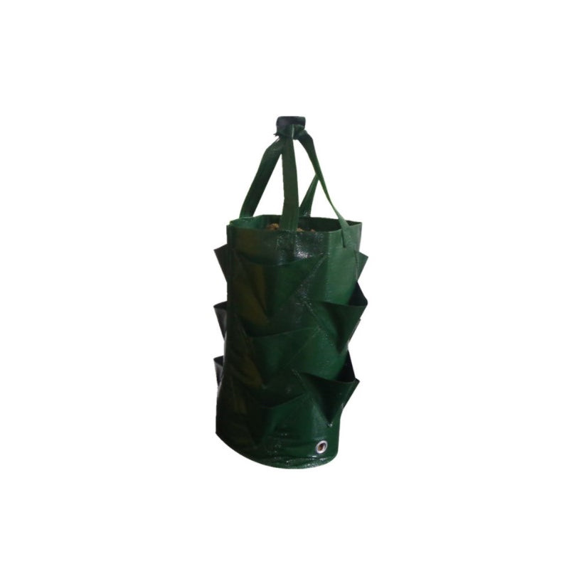 💥✨Limited-time 50% Off Special Offer🌞Hanging Strawberry Planter Bag with Side Pockets