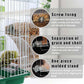 🐦Automatic No-Spill Transparent Bird Feeder