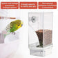 🐦Automatic No-Spill Transparent Bird Feeder