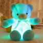 🎅New Year gifts Hot Sale 49% OFF🎁| 🧸Teddy bear, colourful LED light, soft toys🌈