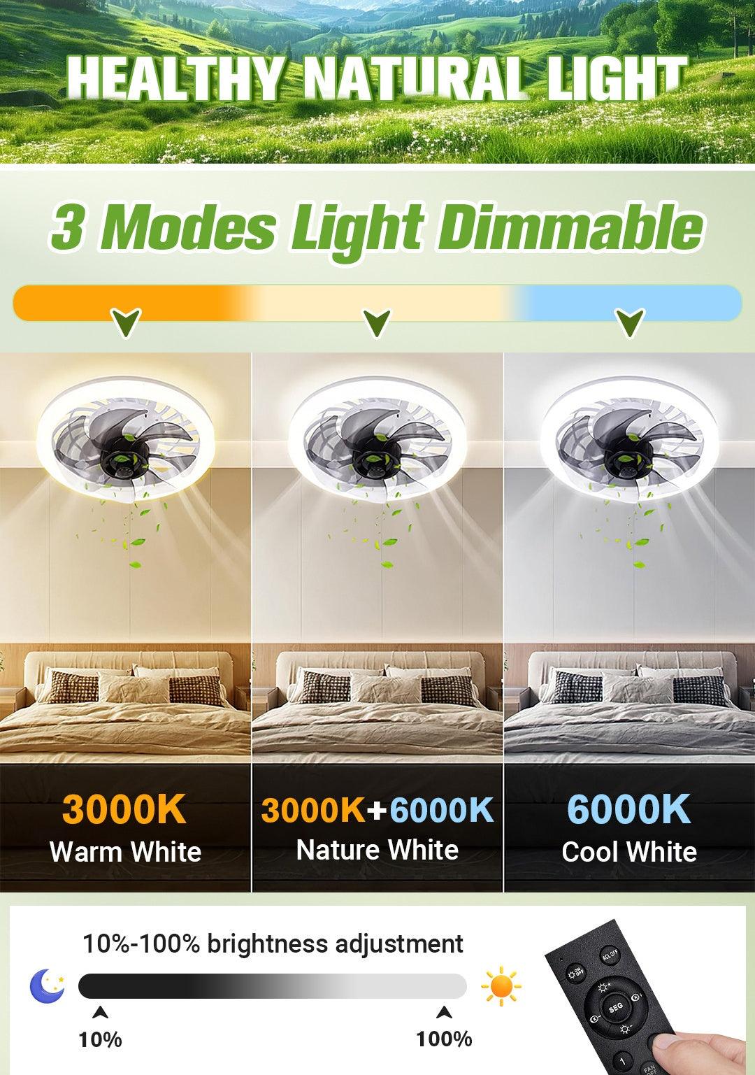 💥2026 HOT SALE 50% OFF💥  2-in-1 Mute Adjustable Fan Light with Remote Control