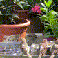 ⏳Time-Limited Special⏰Compact Solar Bird Fountain Pump – Keep Your Garden Alive! 🐦️