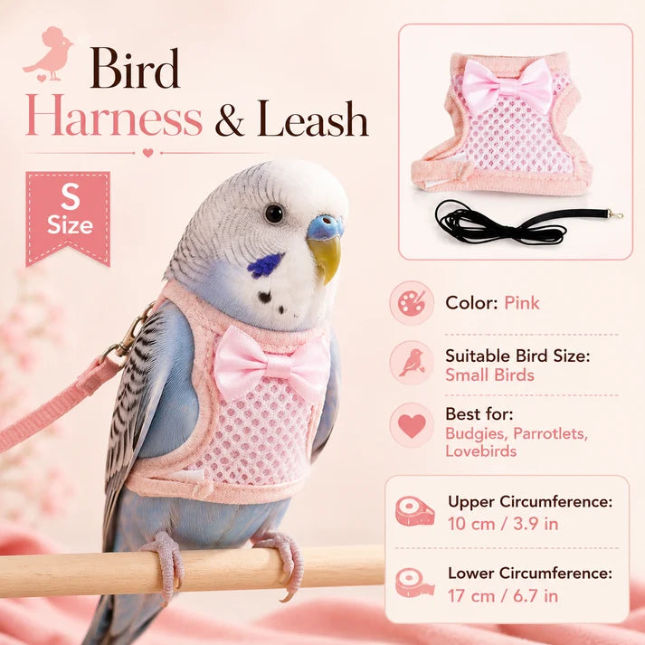 Parrot Flight Harness with Leash