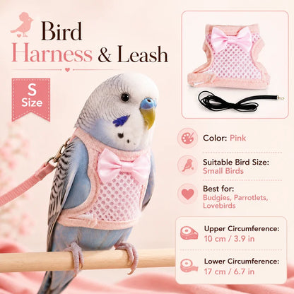 Parrot Flight Harness with Leash