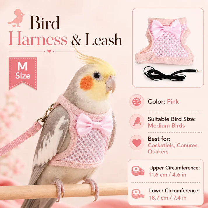 Parrot Flight Harness with Leash
