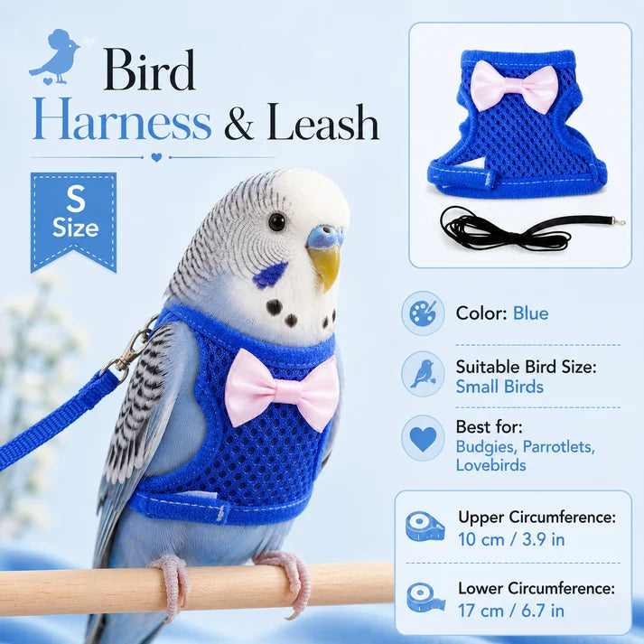 Parrot Flight Harness with Leash