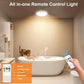 Magnetic Motion Sensor Ceiling Light with Remote
