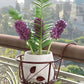 🌼Hot Sale - Hanging flower stand