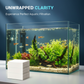 ✨ AQUARIUM CLARIFYING SHEETS - Crystal Clear Water in 24 Hours, Removes Odors and Impurities, Safe for All Fish and Plants 🌿🔮