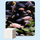 ✨ AQUARIUM CLARIFYING SHEETS - Crystal Clear Water in 24 Hours, Removes Odors and Impurities, Safe for All Fish and Plants 🌿🔮