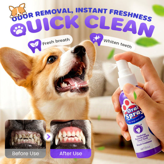 🔥Limited Time🔥Teeth Cleaning Spray for Pets