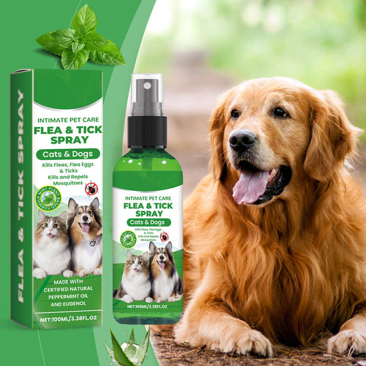 🐶🐱Natural Flea & Tick Spray for Dogs and Cats