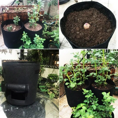🔥Hot Deals-Fabric Potato Grow Bag with Harvest Window