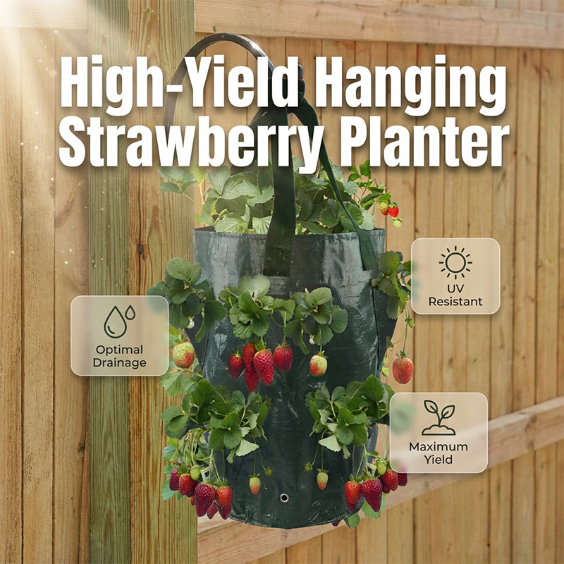 💥✨Limited-time 50% Off Special Offer🌞Hanging Strawberry Planter Bag with Side Pockets
