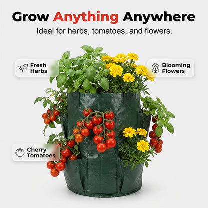 💥✨Limited-time 50% Off Special Offer🌞Hanging Strawberry Planter Bag with Side Pockets