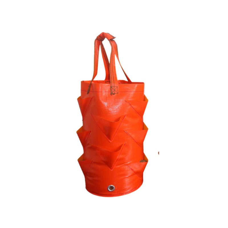 💥✨Limited-time 50% Off Special Offer🌞Hanging Strawberry Planter Bag with Side Pockets