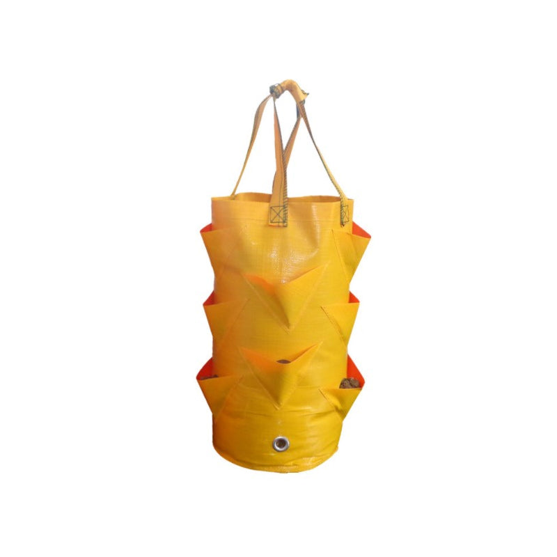💥✨Limited-time 50% Off Special Offer🌞Hanging Strawberry Planter Bag with Side Pockets