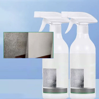 Mildew Removal Spray for Walls