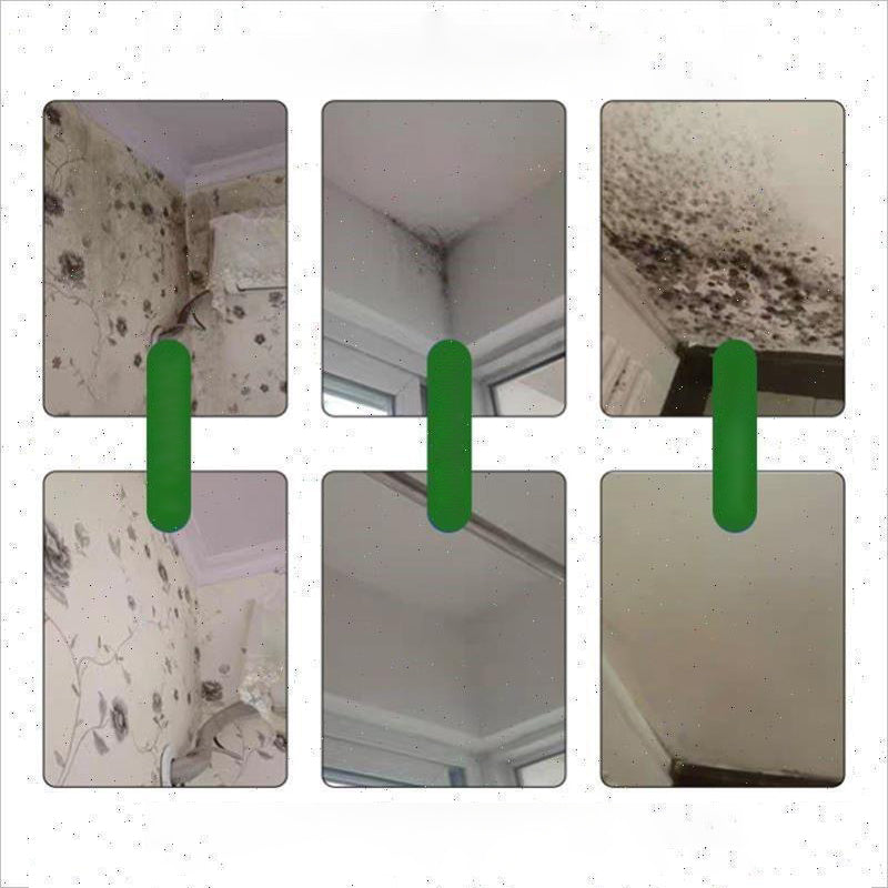 Mildew Removal Spray for Walls