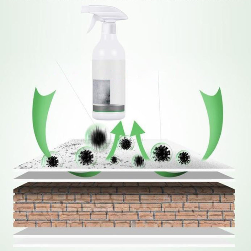 Mildew Removal Spray for Walls