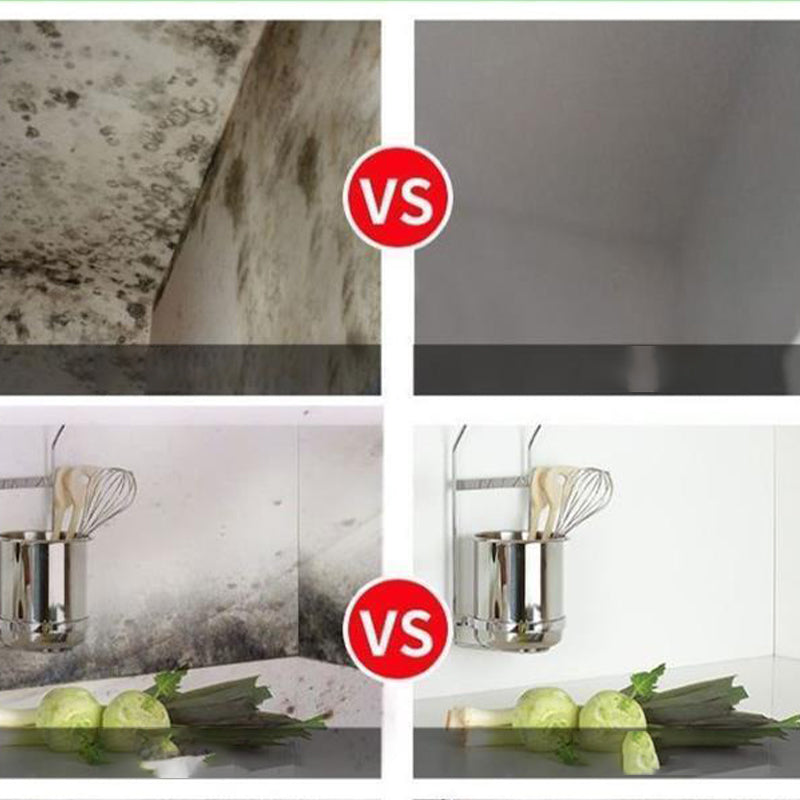 Mildew Removal Spray for Walls