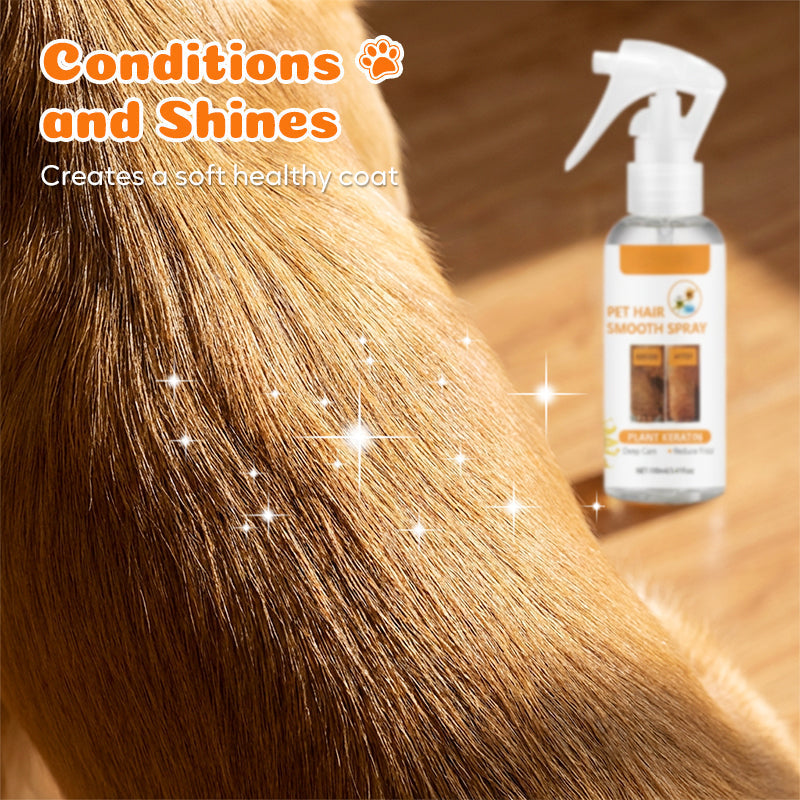 🔥 50% OFF – Last Day! 🔥 Pet Deodorizing & Detangling Spray