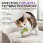 Plush Dumbbell-Shaped Teething Toy for Cats and Dogs