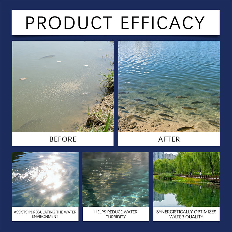 🌿 Crystal Clarity Without Harsh Chemicals. Safe for Fish, Shrimp, Crabs & Shellfish. Limited Offer!  BUY 3 GET1 FREE!