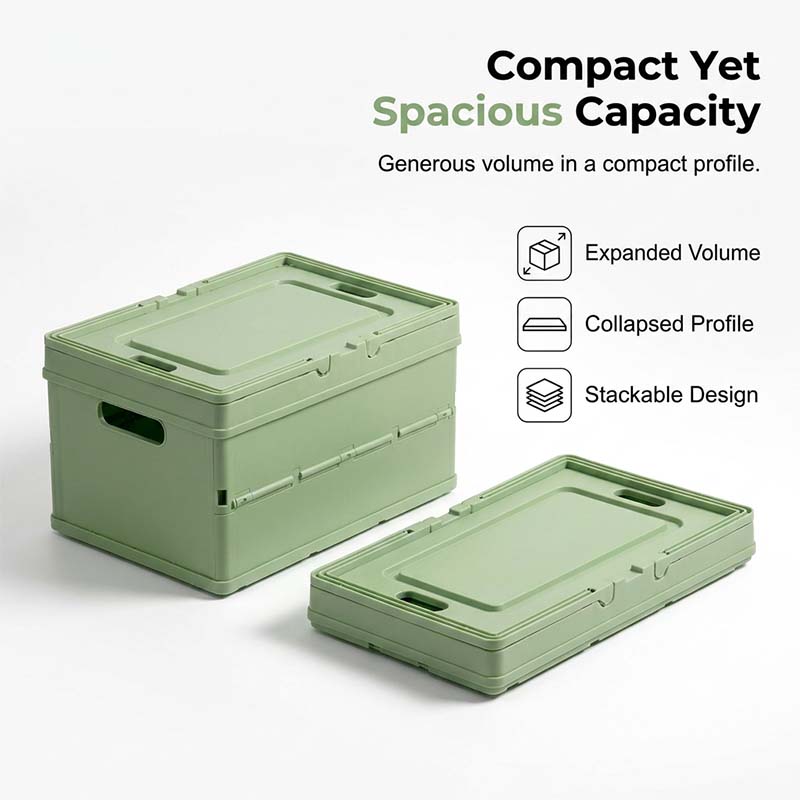 Multi-Purpose Collapsible Organizer Box