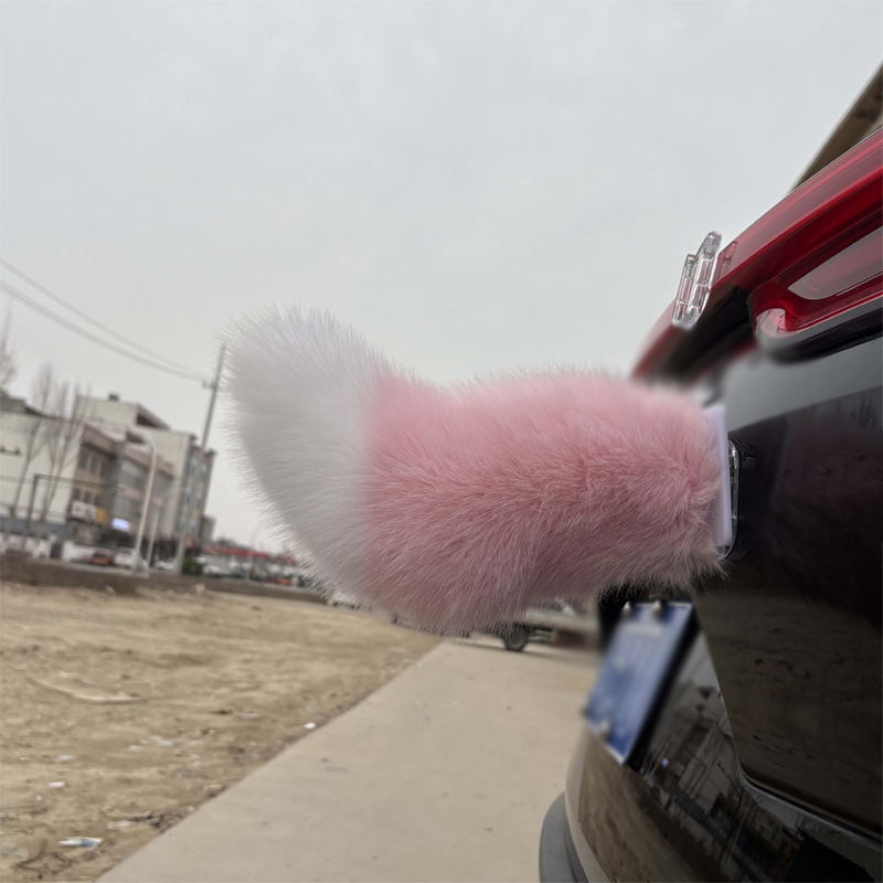 Remote Control Electric Car Tail