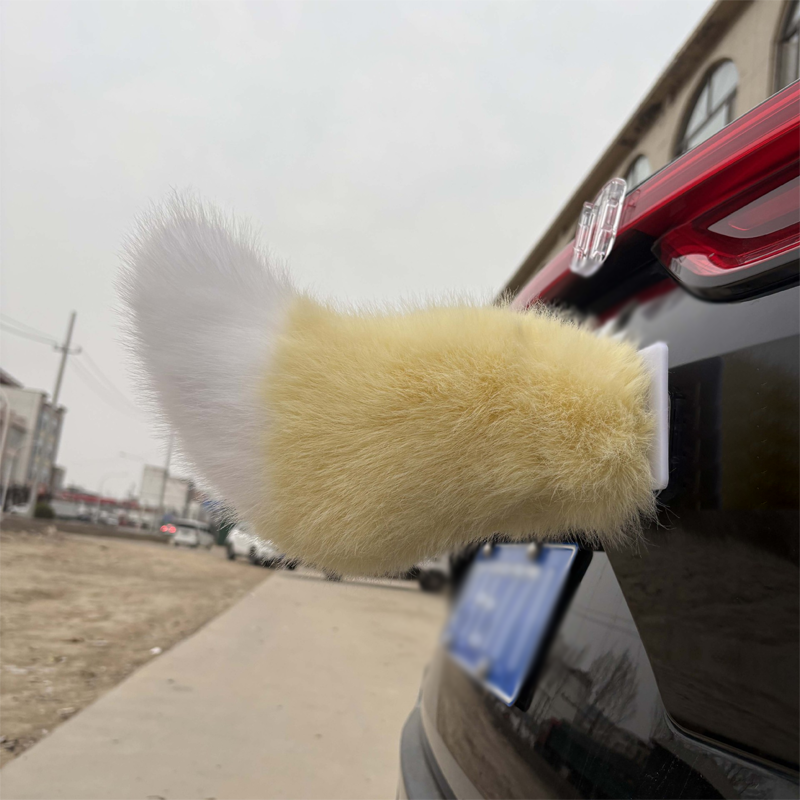 Remote Control Electric Car Tail