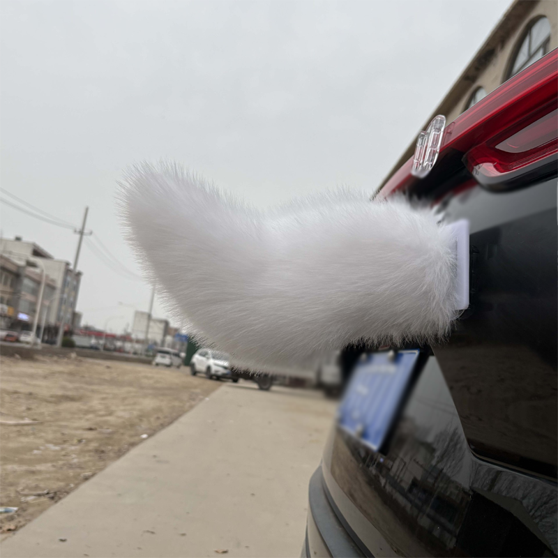 Remote Control Electric Car Tail