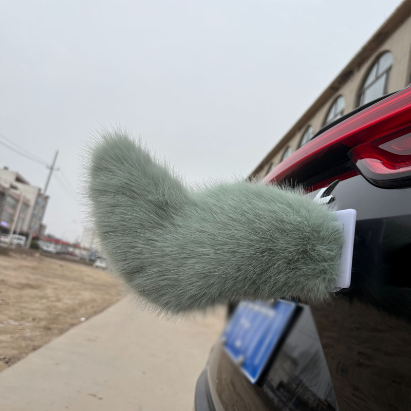 Remote Control Electric Car Tail