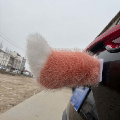 Remote Control Electric Car Tail