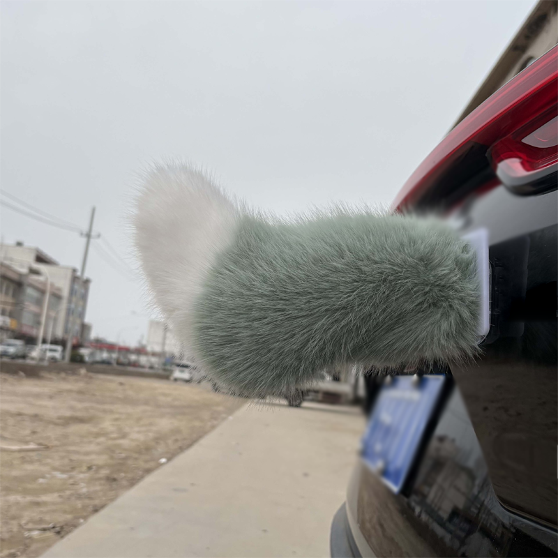 Remote Control Electric Car Tail