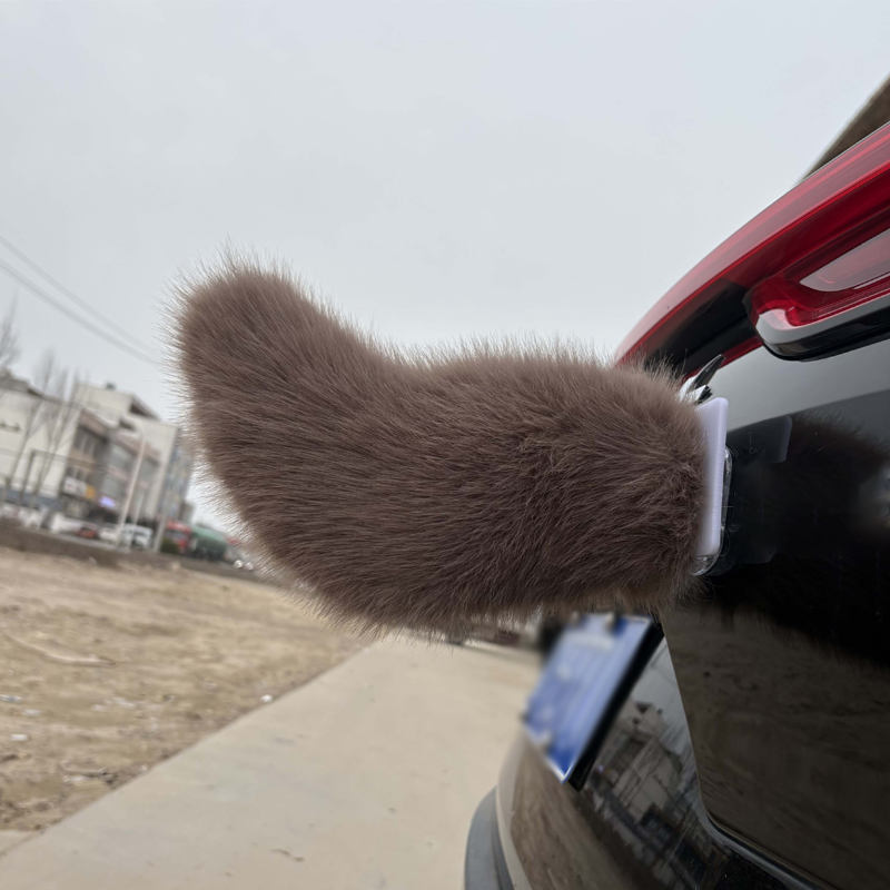 Remote Control Electric Car Tail