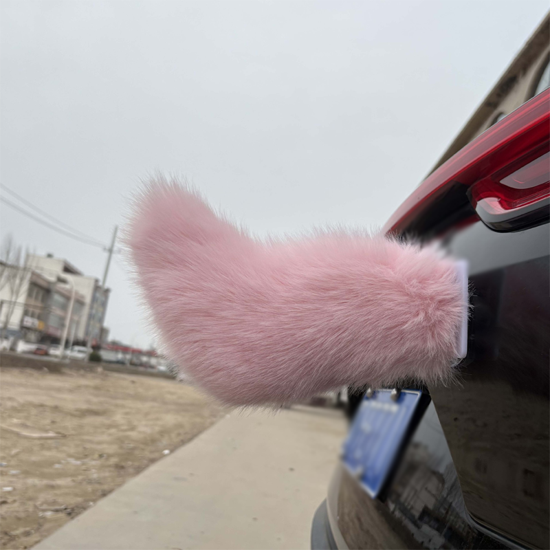 Remote Control Electric Car Tail