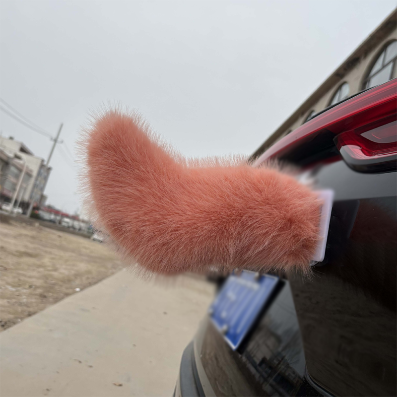 Remote Control Electric Car Tail
