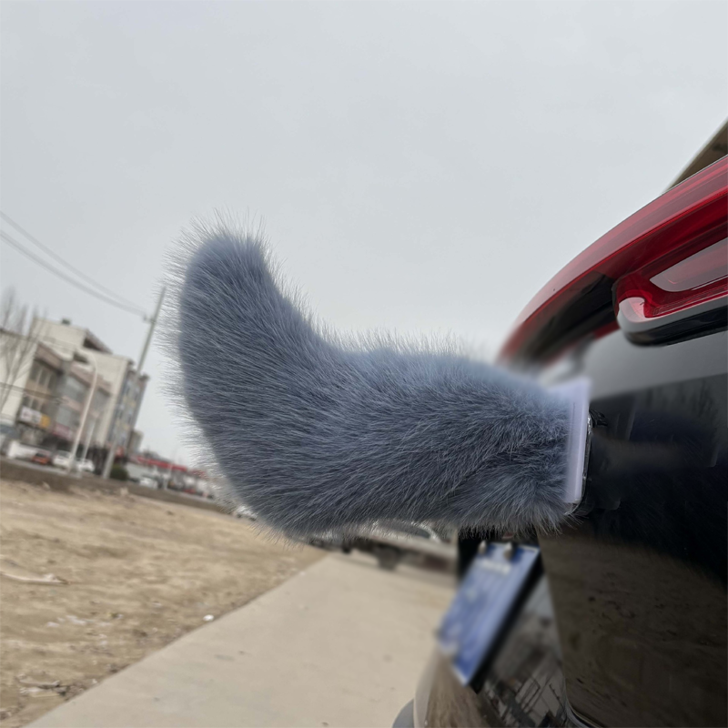 Remote Control Electric Car Tail