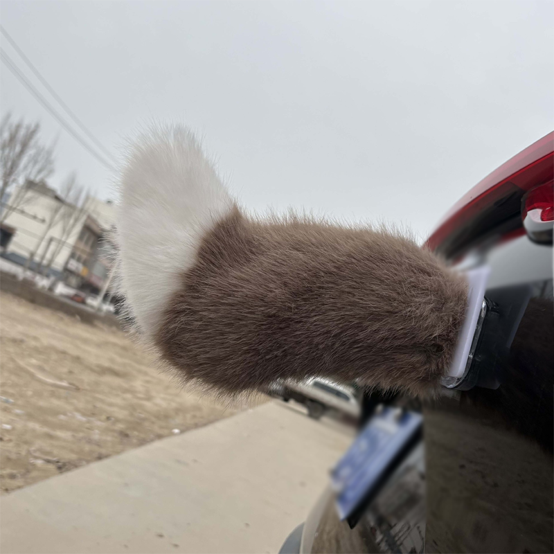 Remote Control Electric Car Tail