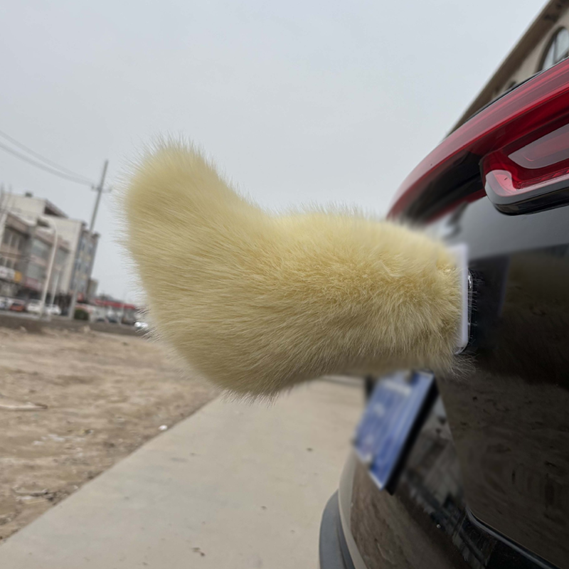 Remote Control Electric Car Tail