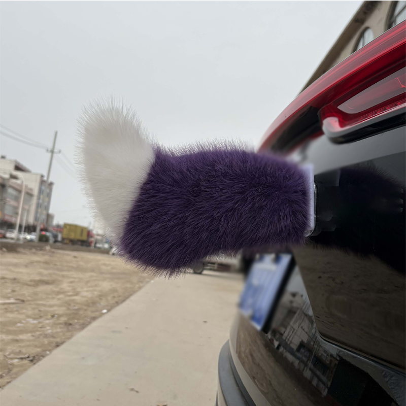 Remote Control Electric Car Tail