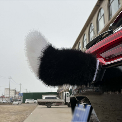 Remote Control Electric Car Tail