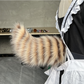 Remote Control Electric Car Tail