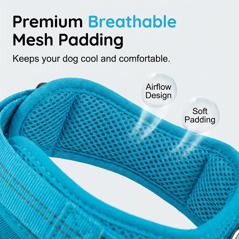 🔥50% OFF 🐶 Easy On-Off Padded Dog Harness for Walking