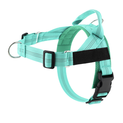 🔥50% OFF 🐶 Easy On-Off Padded Dog Harness for Walking