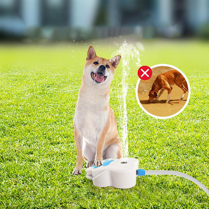 🐾💧⛲ Dog Paw-Activated Water Fountain 🐶✨