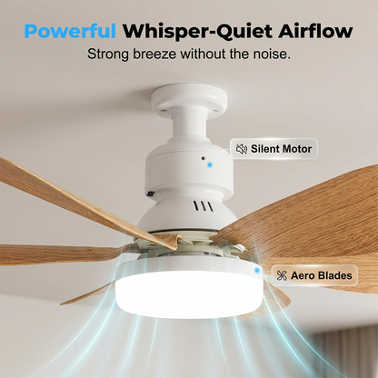 ⏳Time-Limited Special⏰2-in-1 Smart Ceiling Fan Light