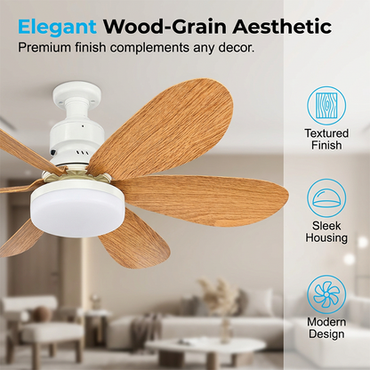 ⏳Time-Limited Special⏰2-in-1 Smart Ceiling Fan Light