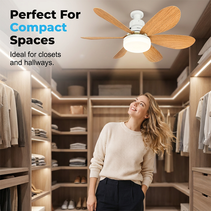 ⏳Time-Limited Special⏰2-in-1 Smart Ceiling Fan Light